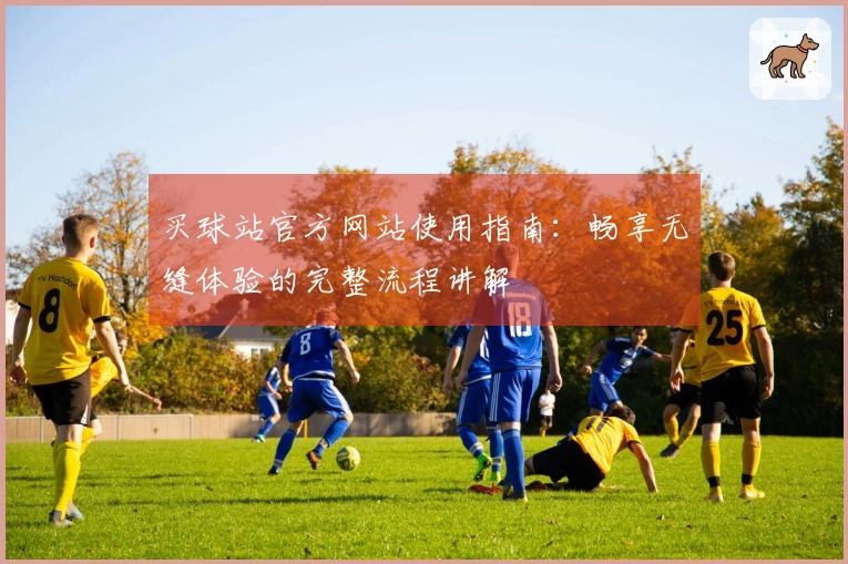 买球站官方网站使用指南：畅享无缝体验的完整流程讲解