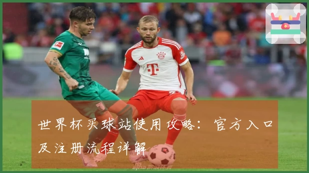 世界杯买球站使用攻略：官方入口及注册流程详解