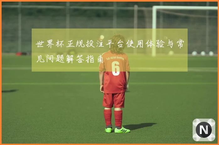 世界杯正规投注平台使用体验与常见问题解答指南