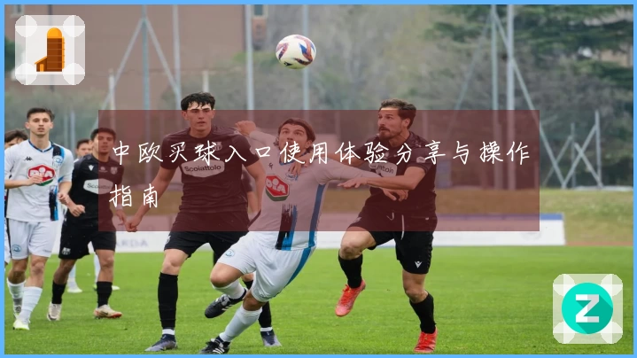 中欧买球入口使用体验分享与操作指南