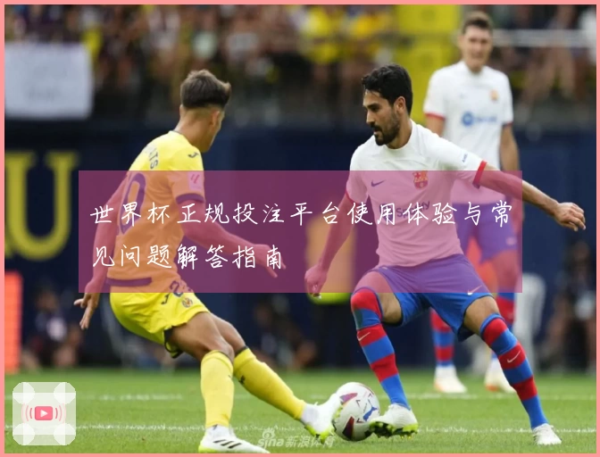 世界杯正规投注平台使用体验与常见问题解答指南