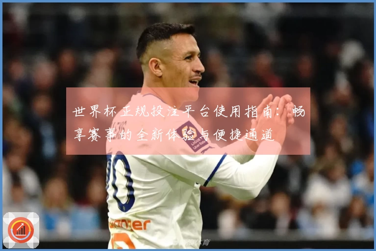 世界杯正规投注平台使用指南：畅享赛事的全新体验与便捷通道