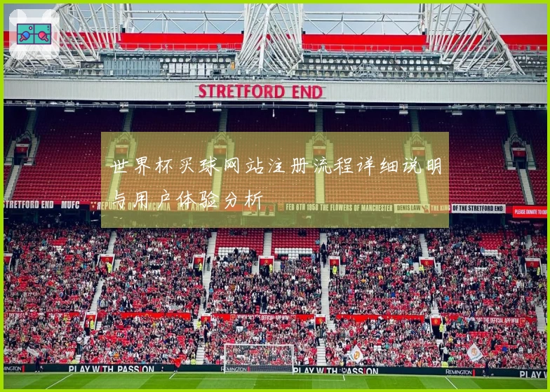 世界杯买球网站注册流程详细说明与用户体验分析