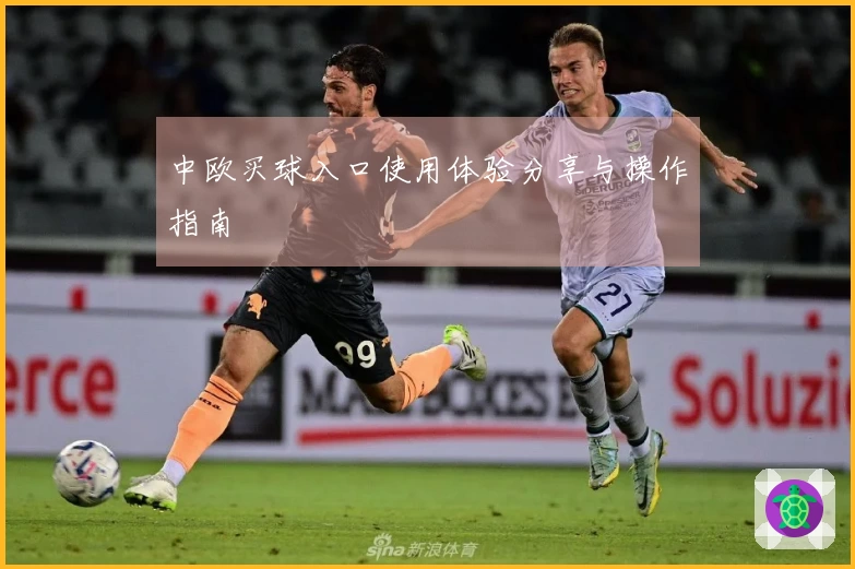 中欧买球入口使用体验分享与操作指南