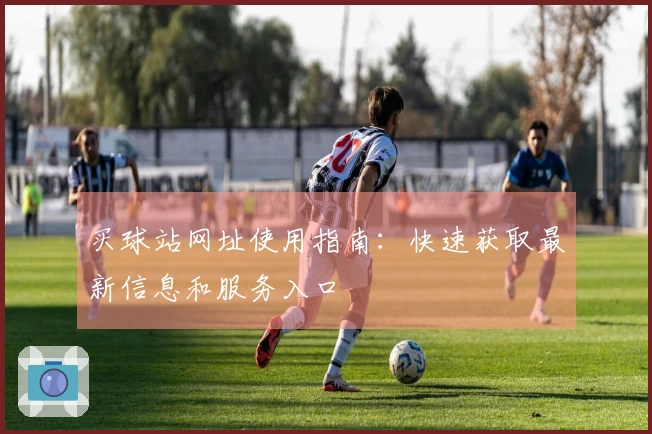 买球站网址使用指南：快速获取最新信息和服务入口
